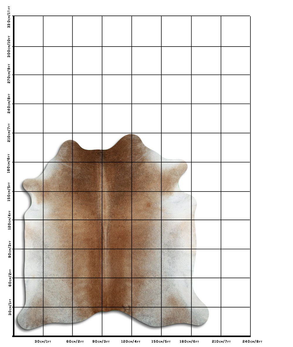 Cinza Tan 3 - 4 M Classe A