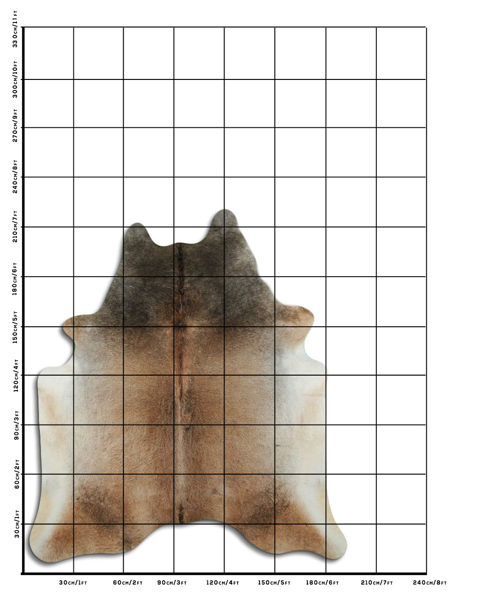 Cinza Tan 3 - 4 M Classe B