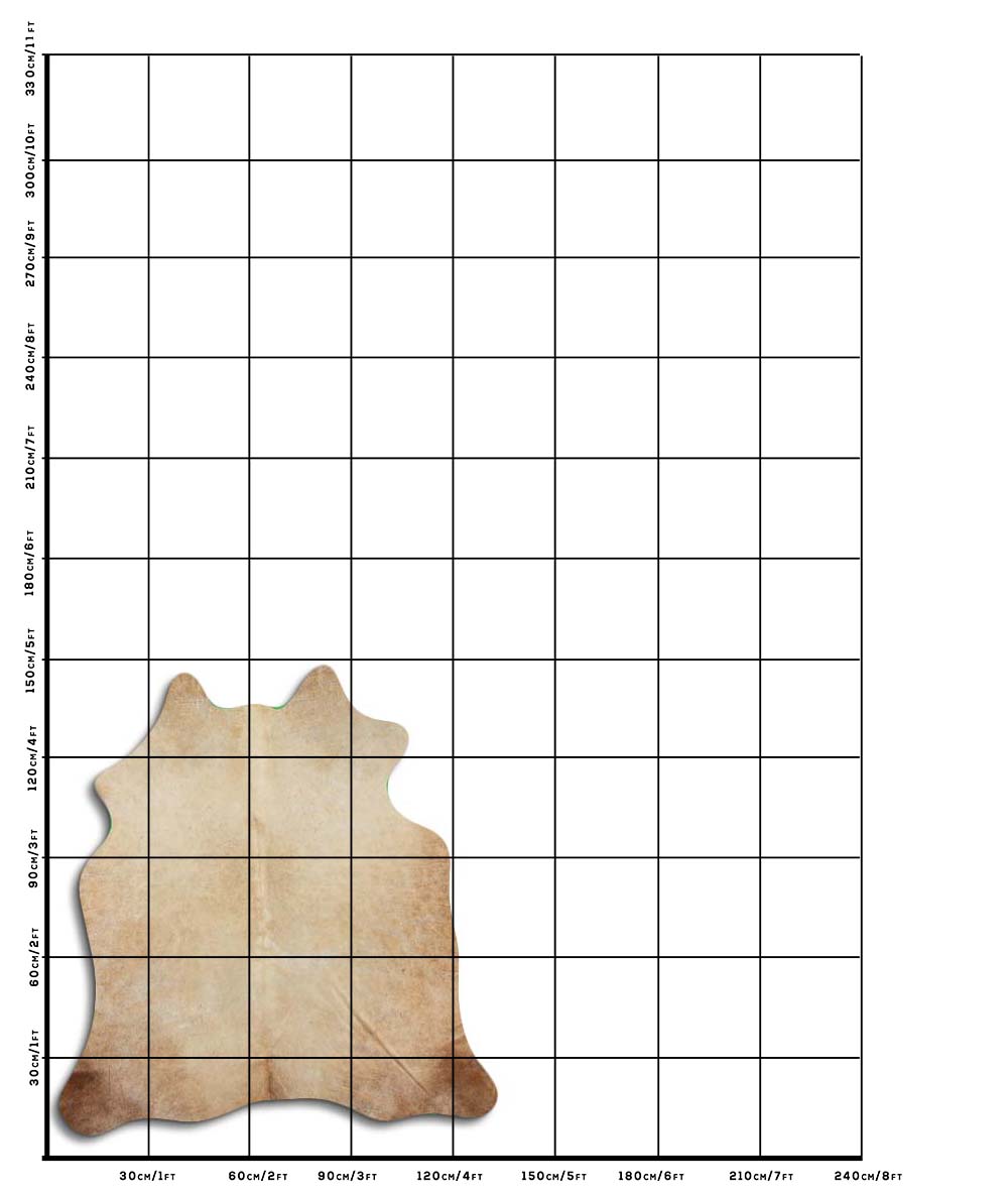 Bege 1 - 2 M Classe B