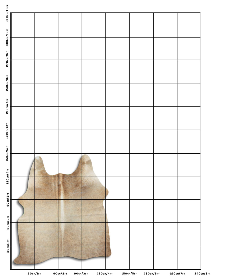 Bege 1 - 2 M Classe B