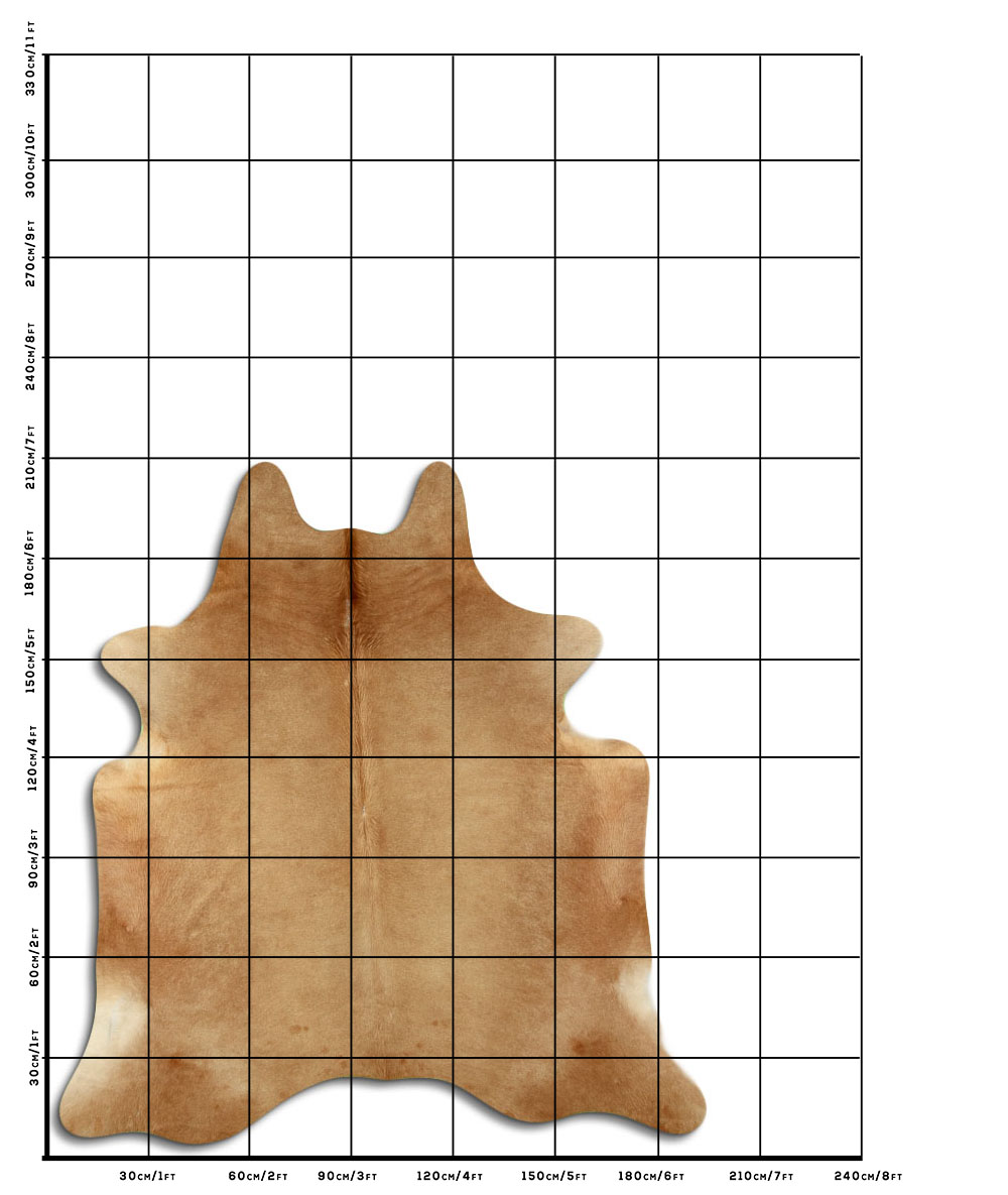 Bege 2 - 3 M Classe A Bege 2 - 3 M Classe A