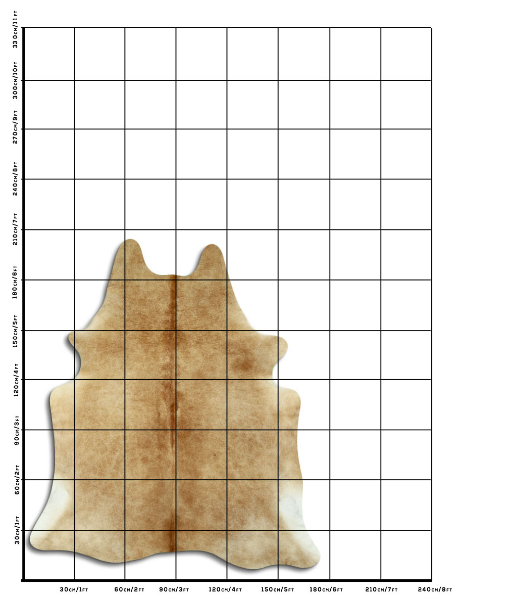 Bege 2 - 3 M Classe A