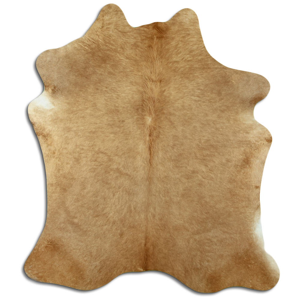 Bege 2 - 3 M Classe A