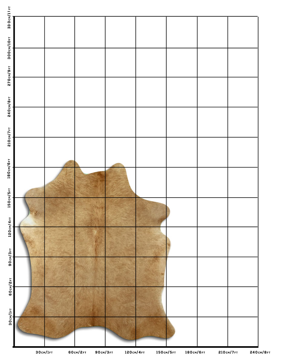 Bege 2 - 3 M Classe A