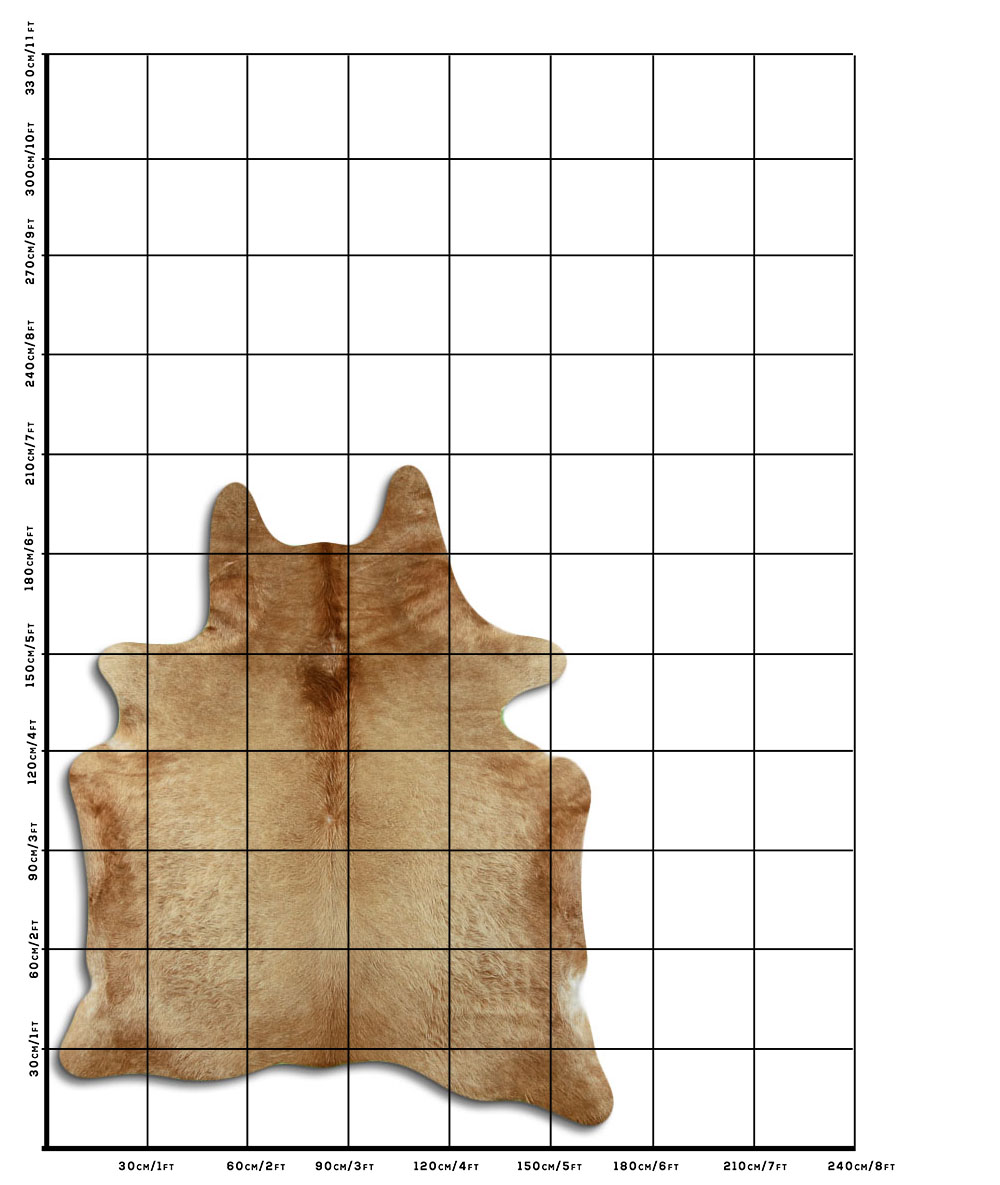 Bege 2 - 3 M Classe A