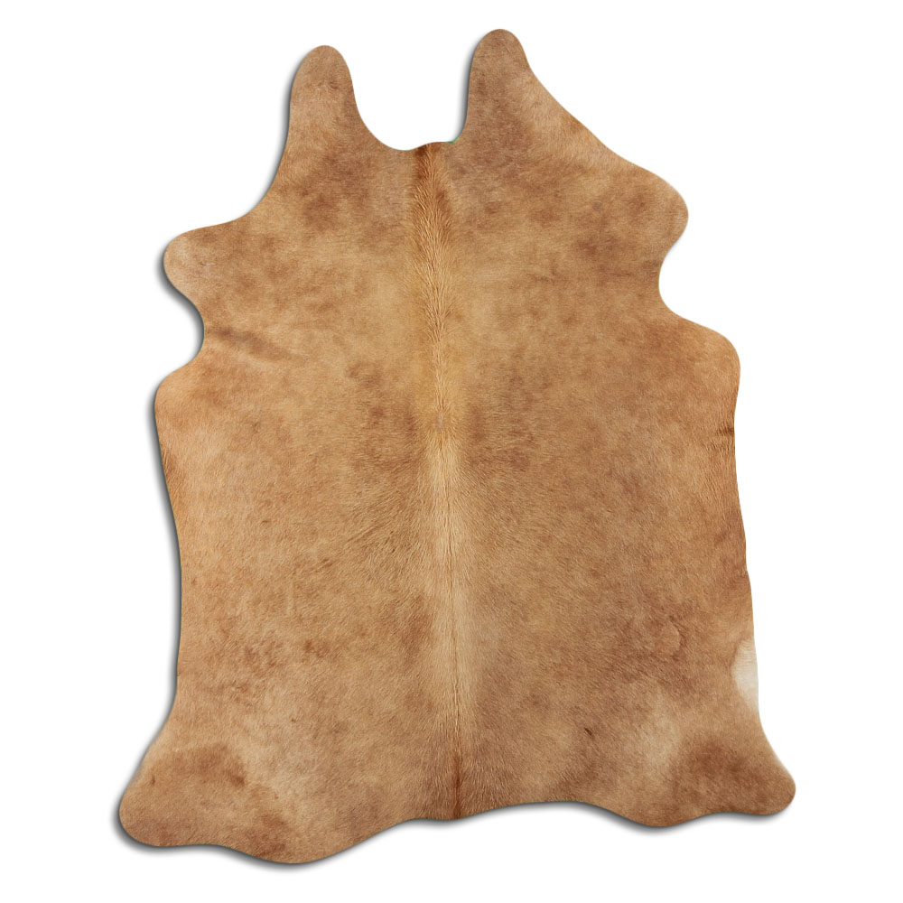Beige 2 - 3 M Clase B