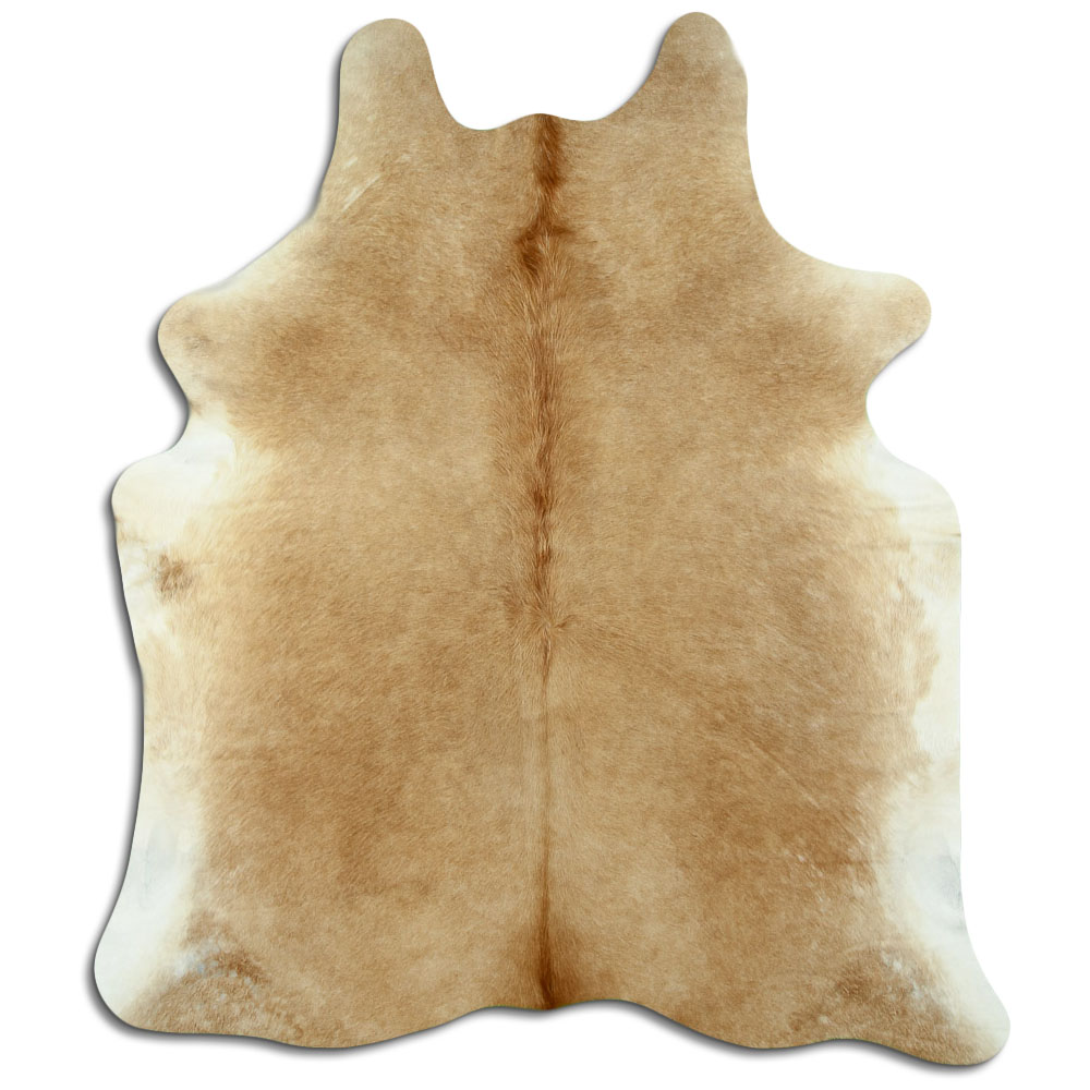 Bege 2 - 3 M Classe B