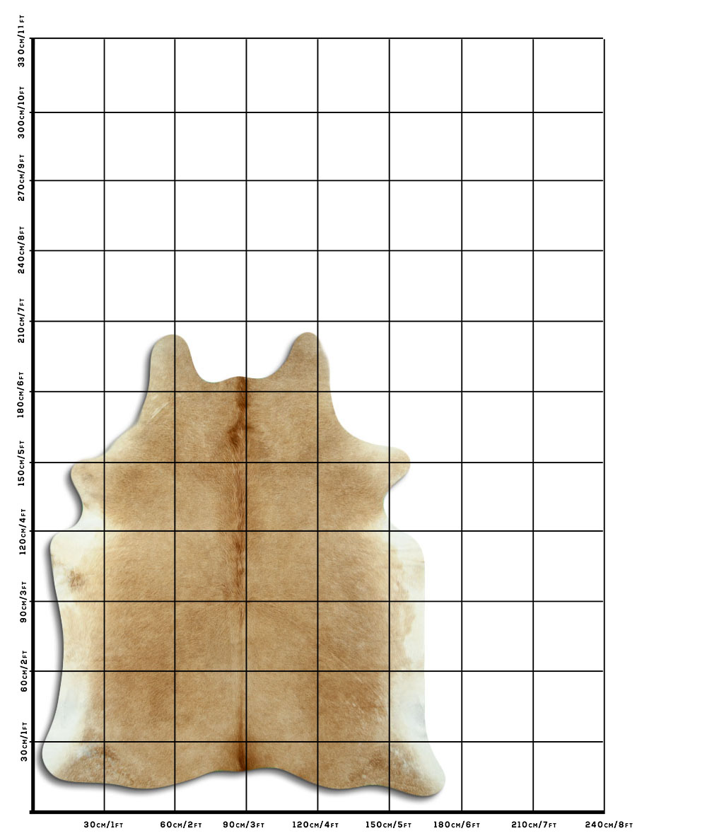 Bege 2 - 3 M Classe B