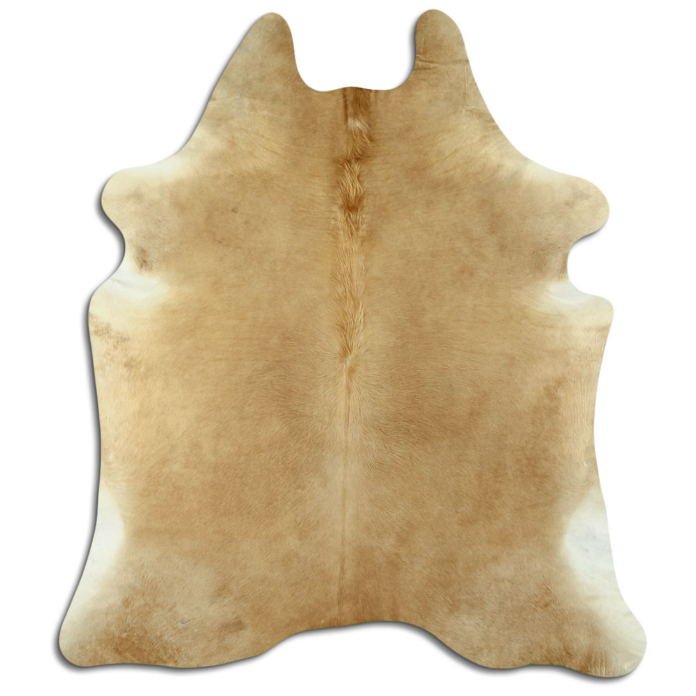 Bege 2 - 3 M Classe B