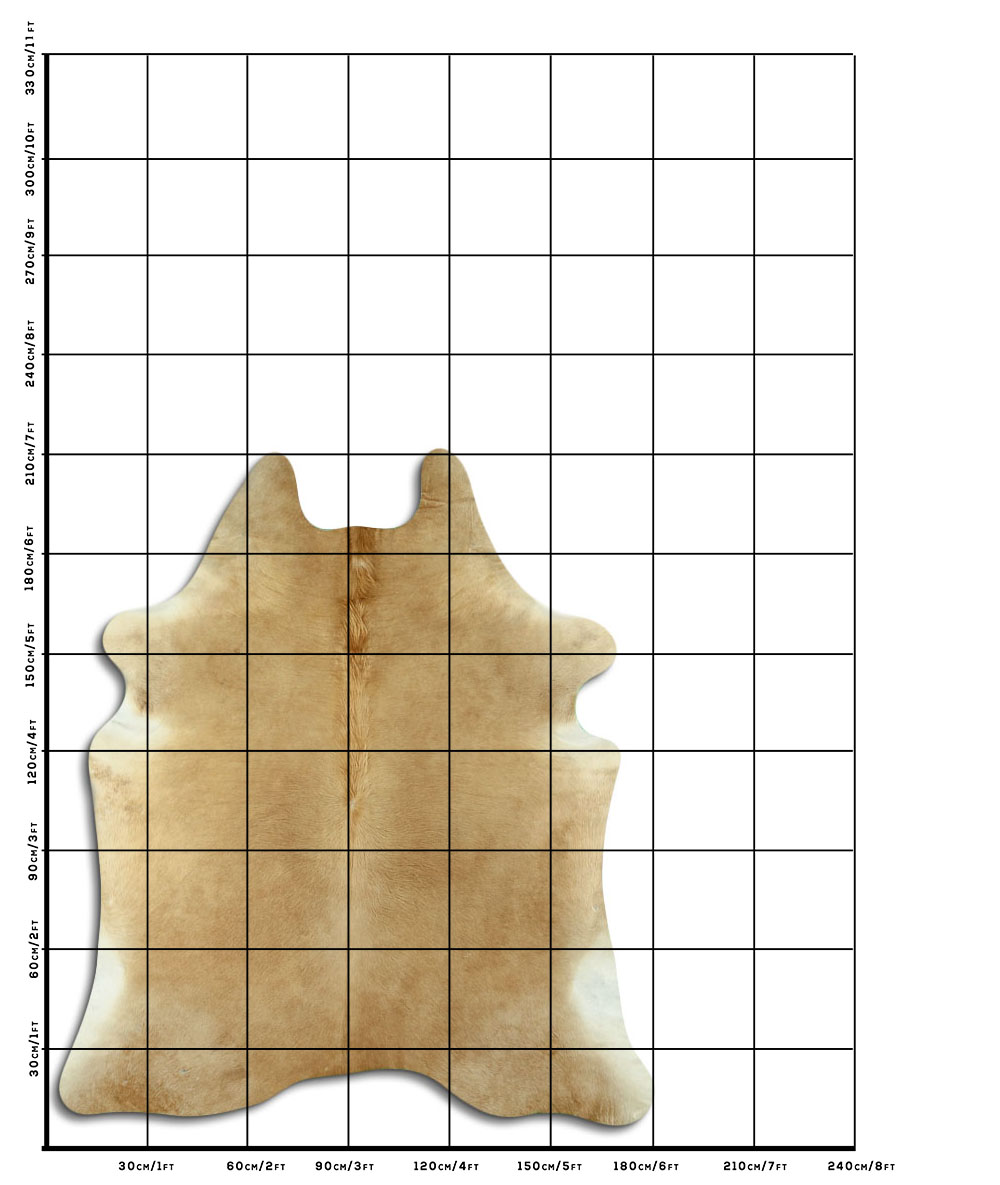 Bege 2 - 3 M Classe B