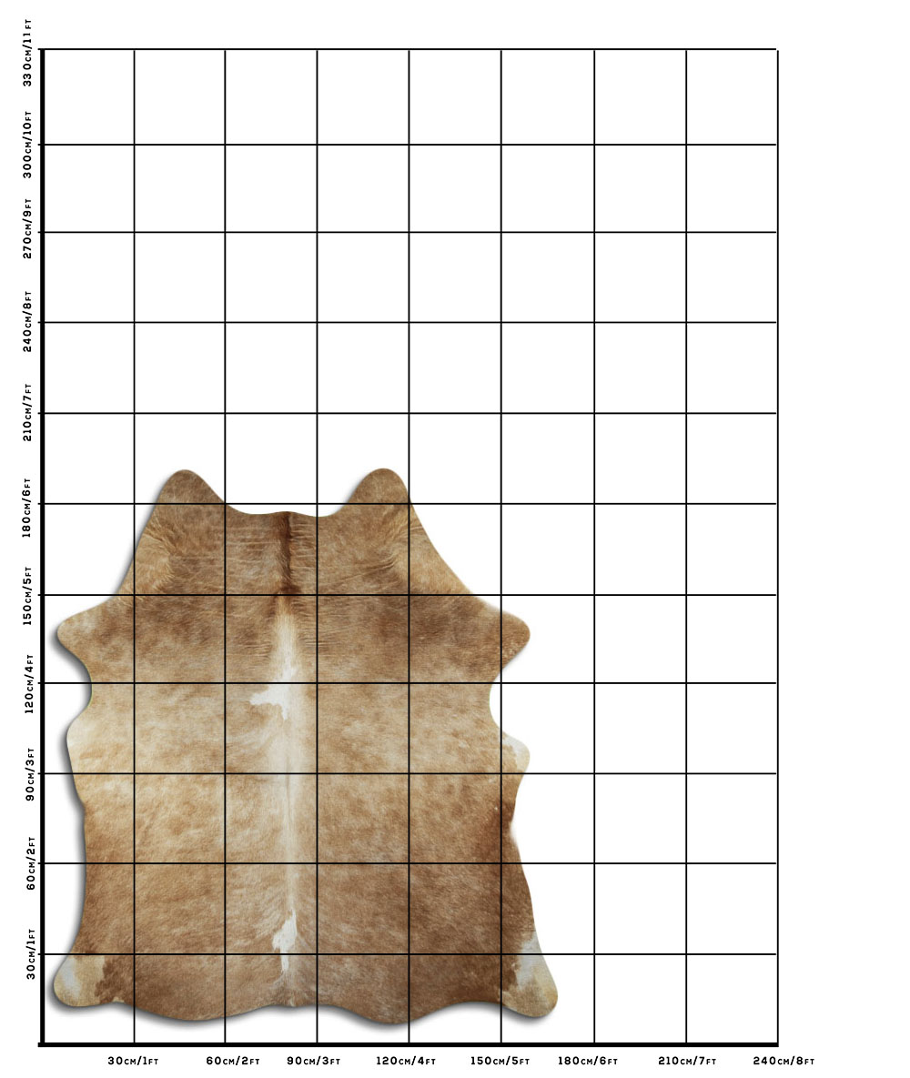 Bege 2 - 3 M Classe B