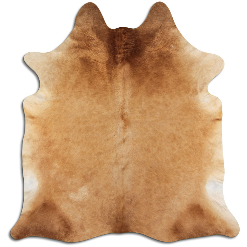 Beige 3 - 4 M Grade A