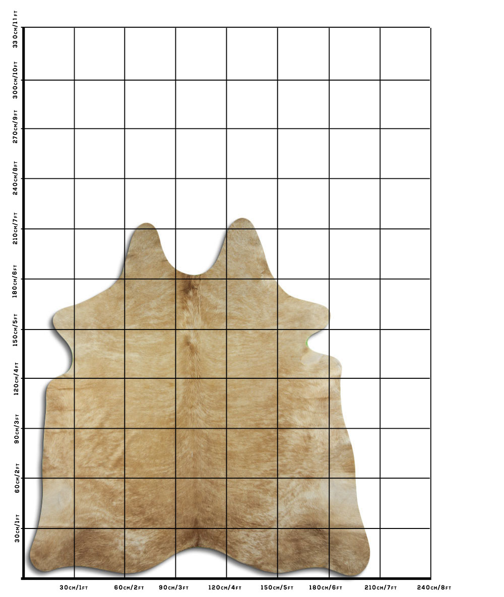 Bege 3 - 4 M Classe A Bege 3 - 4 M Classe A