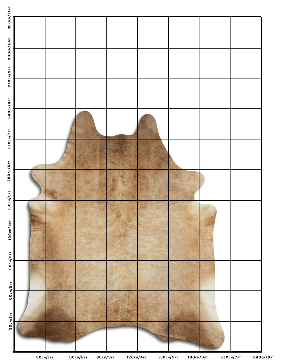 Bege 3 - 4 M Classe A Bege 3 - 4 M Classe A