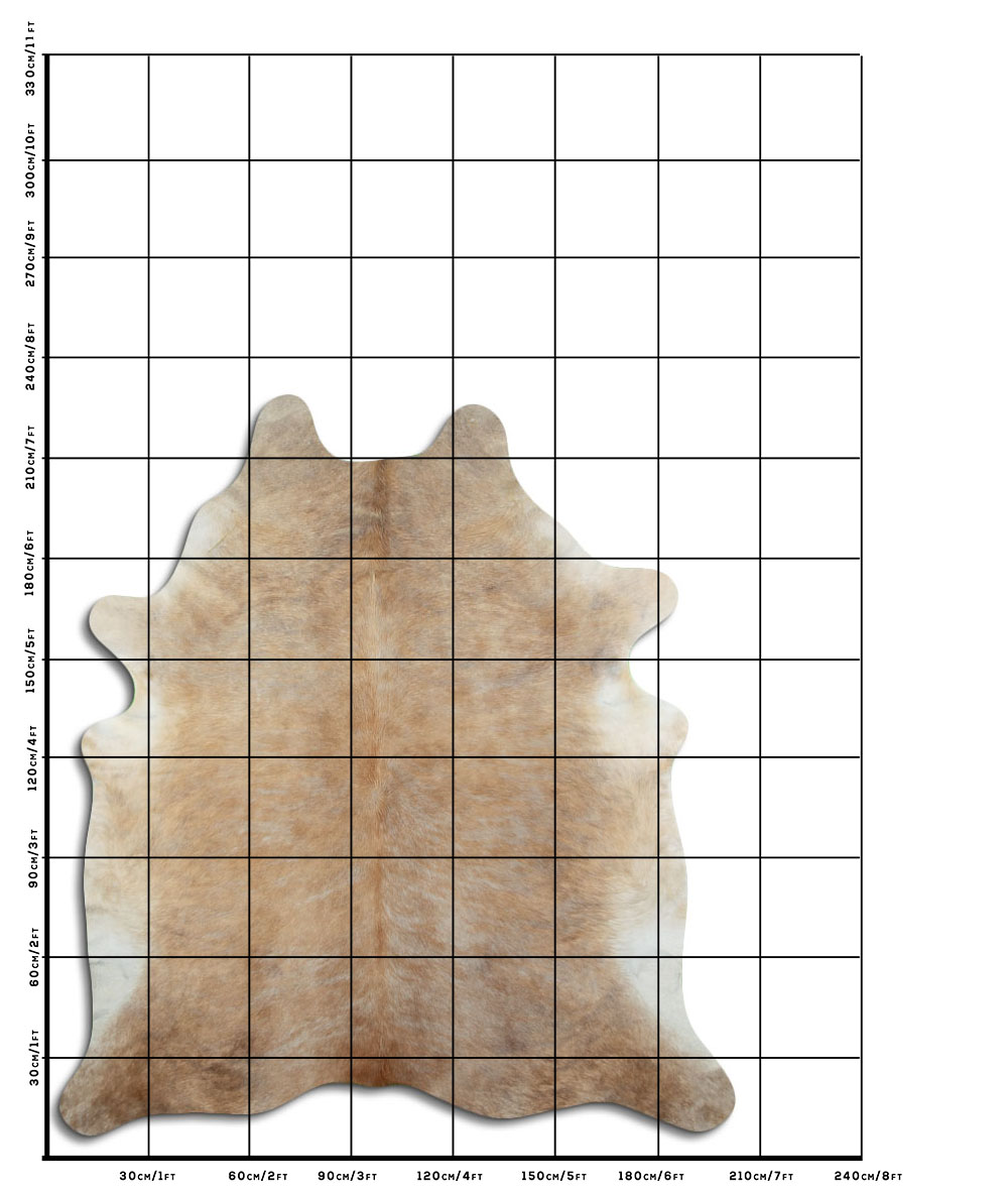 Bege 3 - 4 M Classe A Bege 3 - 4 M Classe A