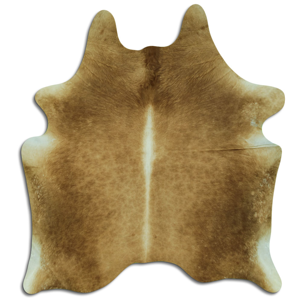 Beige 3 - 4 M Clase B