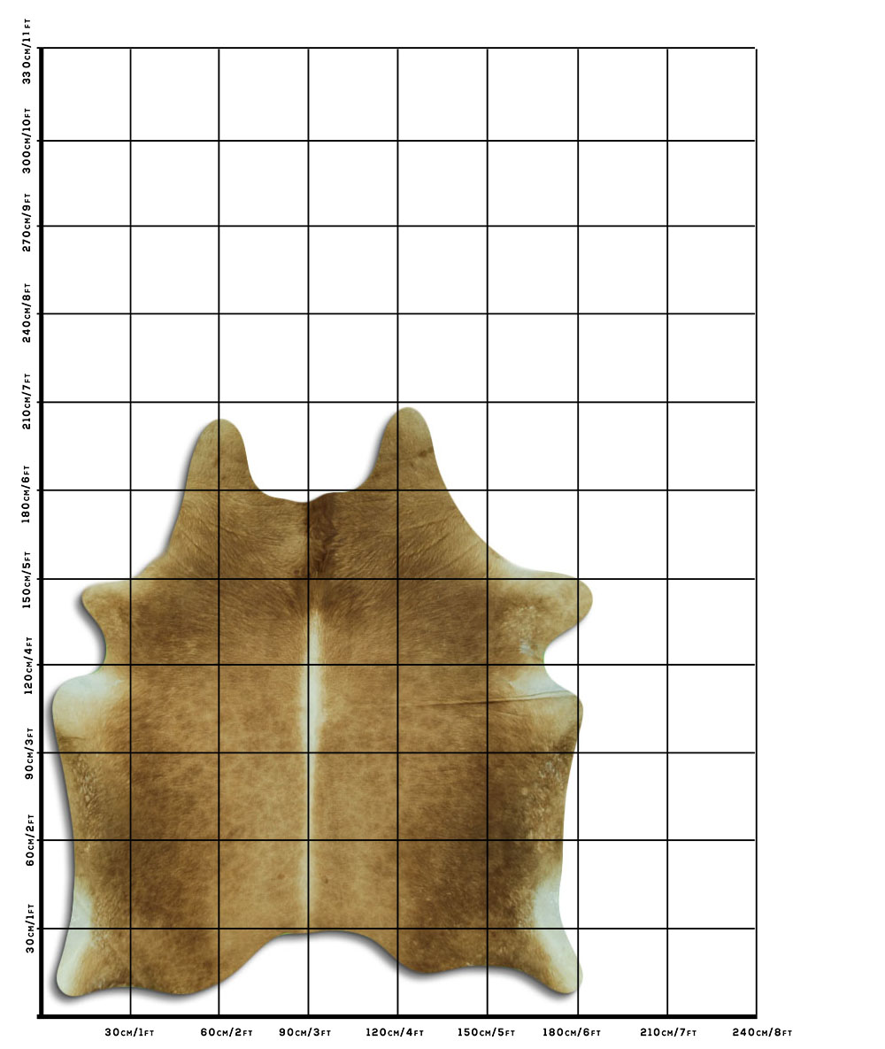 Bege 3 - 4 M Classe B Bege 3 - 4 M Classe B
