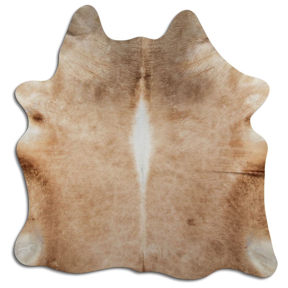 Beige 3 - 4 M Clase B