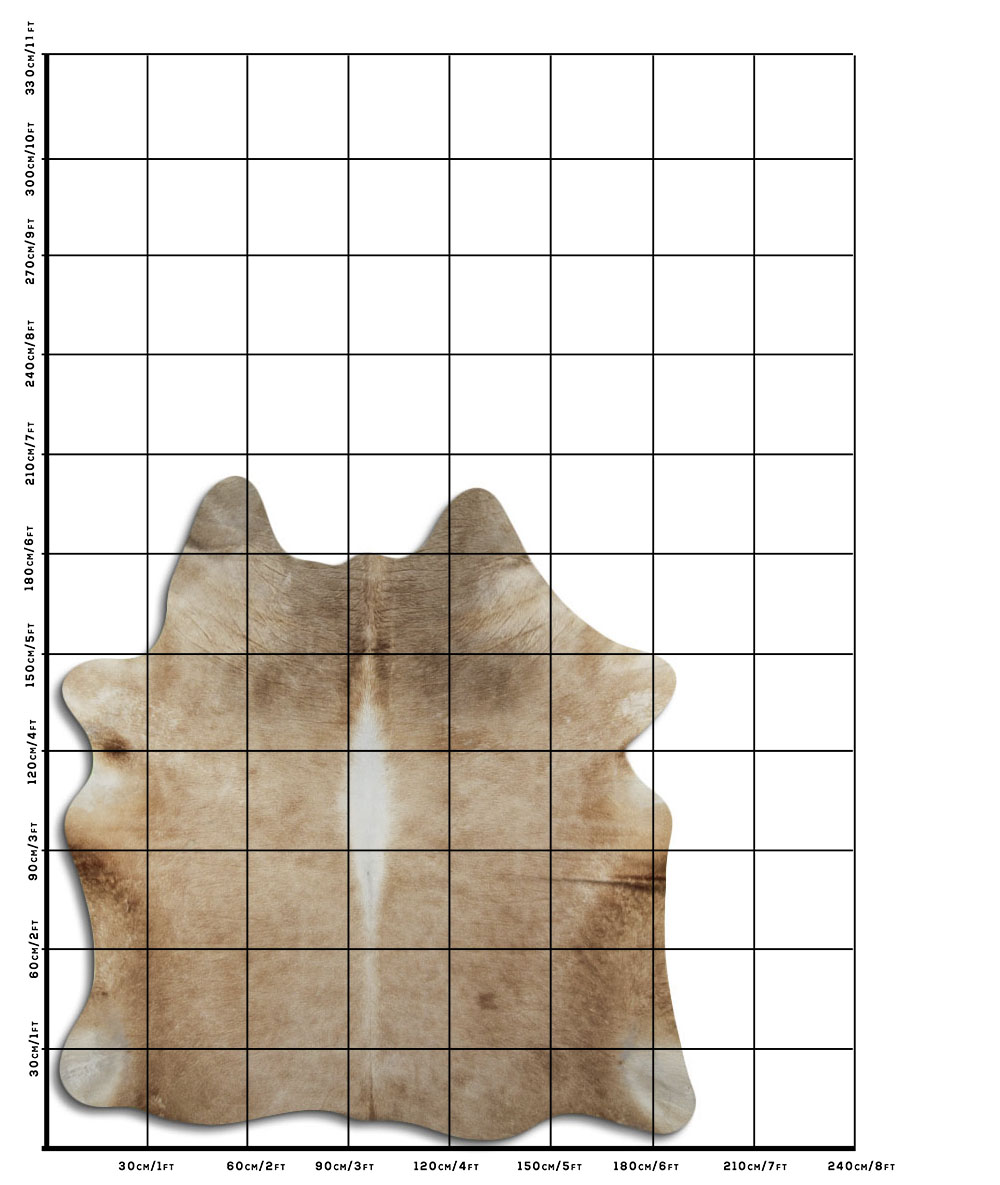 Bege 3 - 4 M Classe B Bege 3 - 4 M Classe B