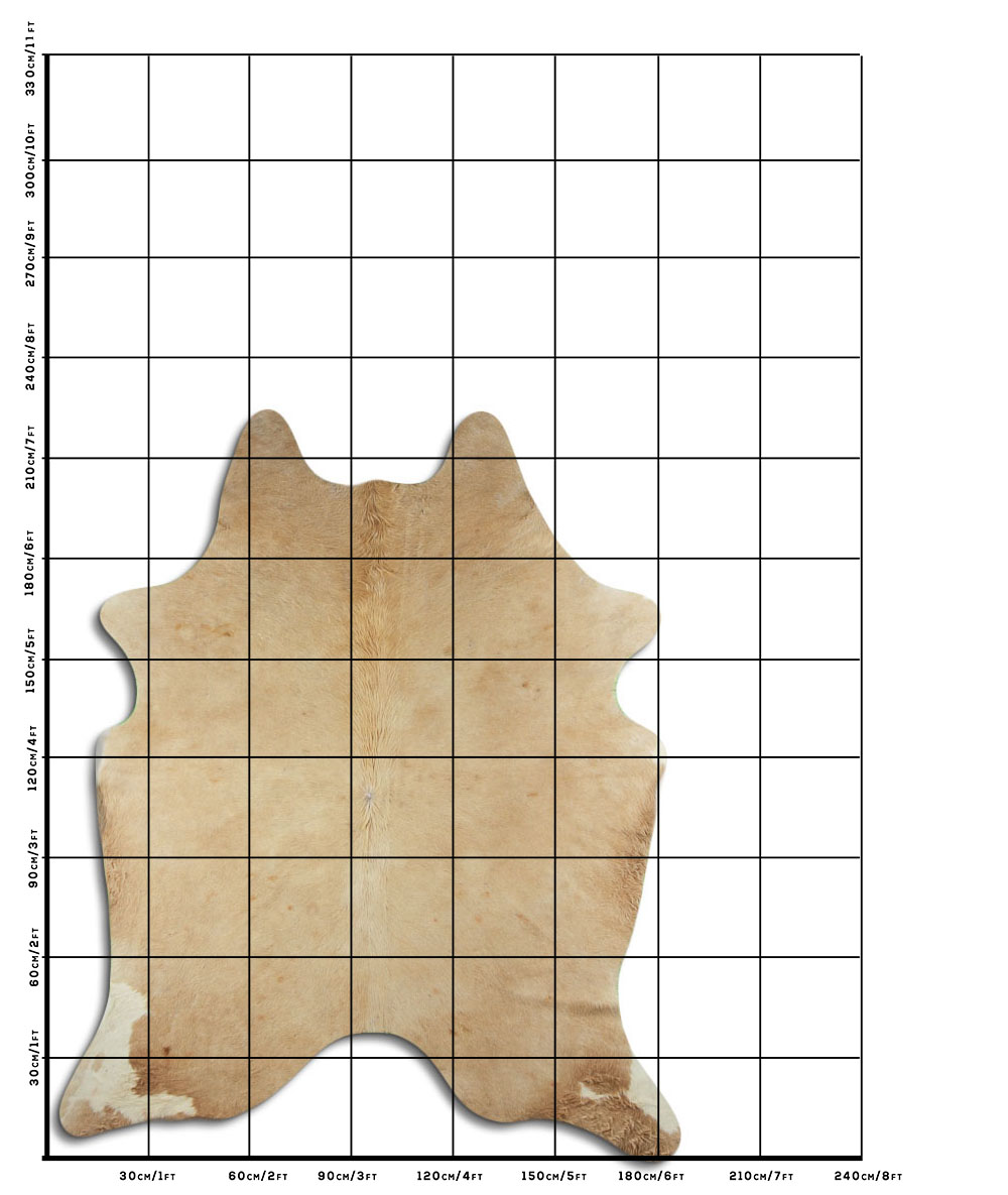 Bege 3 - 4 M Classe B Bege 3 - 4 M Classe B