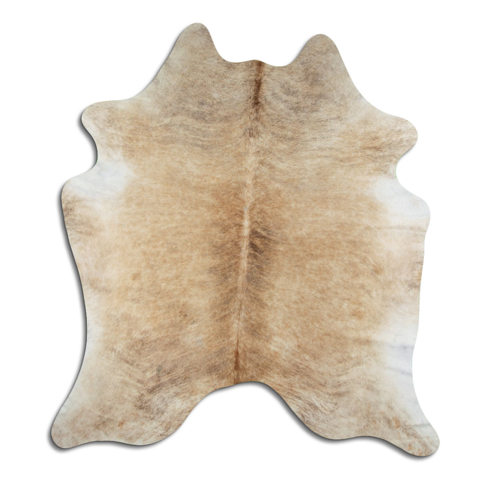 Bege 3 - 4 M Classe B