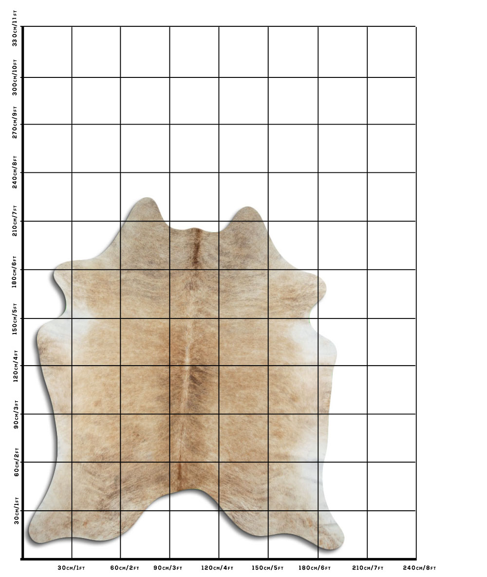 Bege 3 - 4 M Classe B Bege 3 - 4 M Classe B