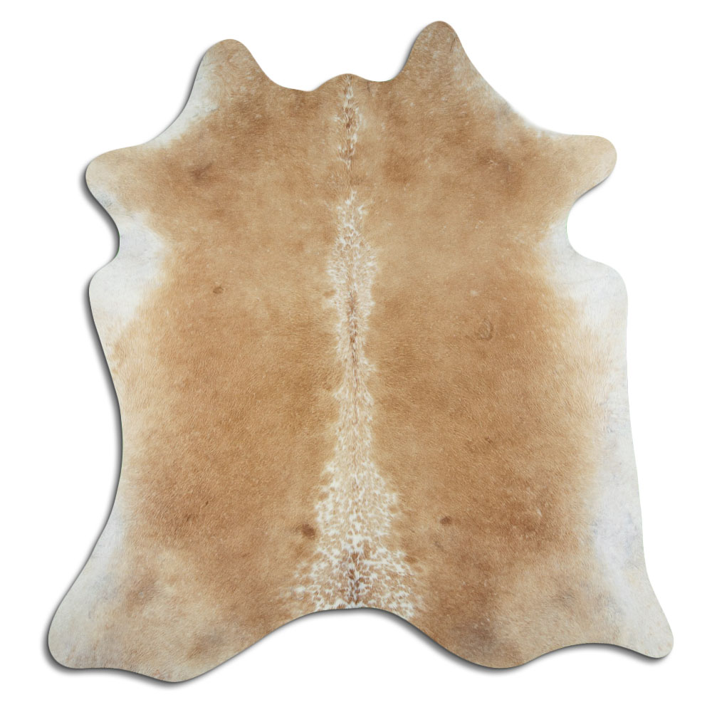 Bege 3 - 4 M Classe B