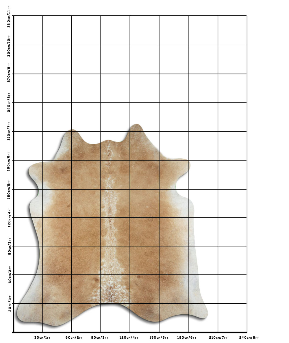 Bege 3 - 4 M Classe B Bege 3 - 4 M Classe B