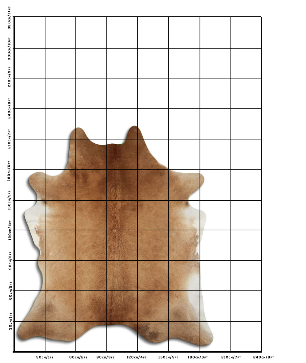 Bege 3 - 4 M Classe B Bege 3 - 4 M Classe B