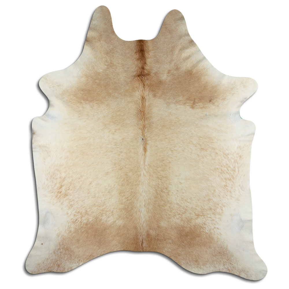 Bege 3 - 4 M Classe B