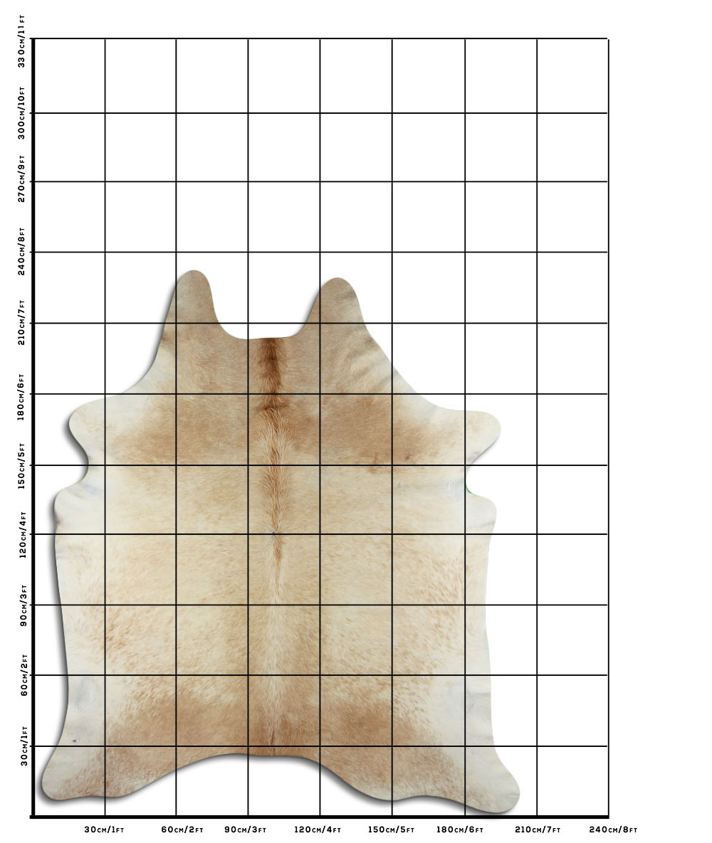 Bege 3 - 4 M Classe B Bege 3 - 4 M Classe B