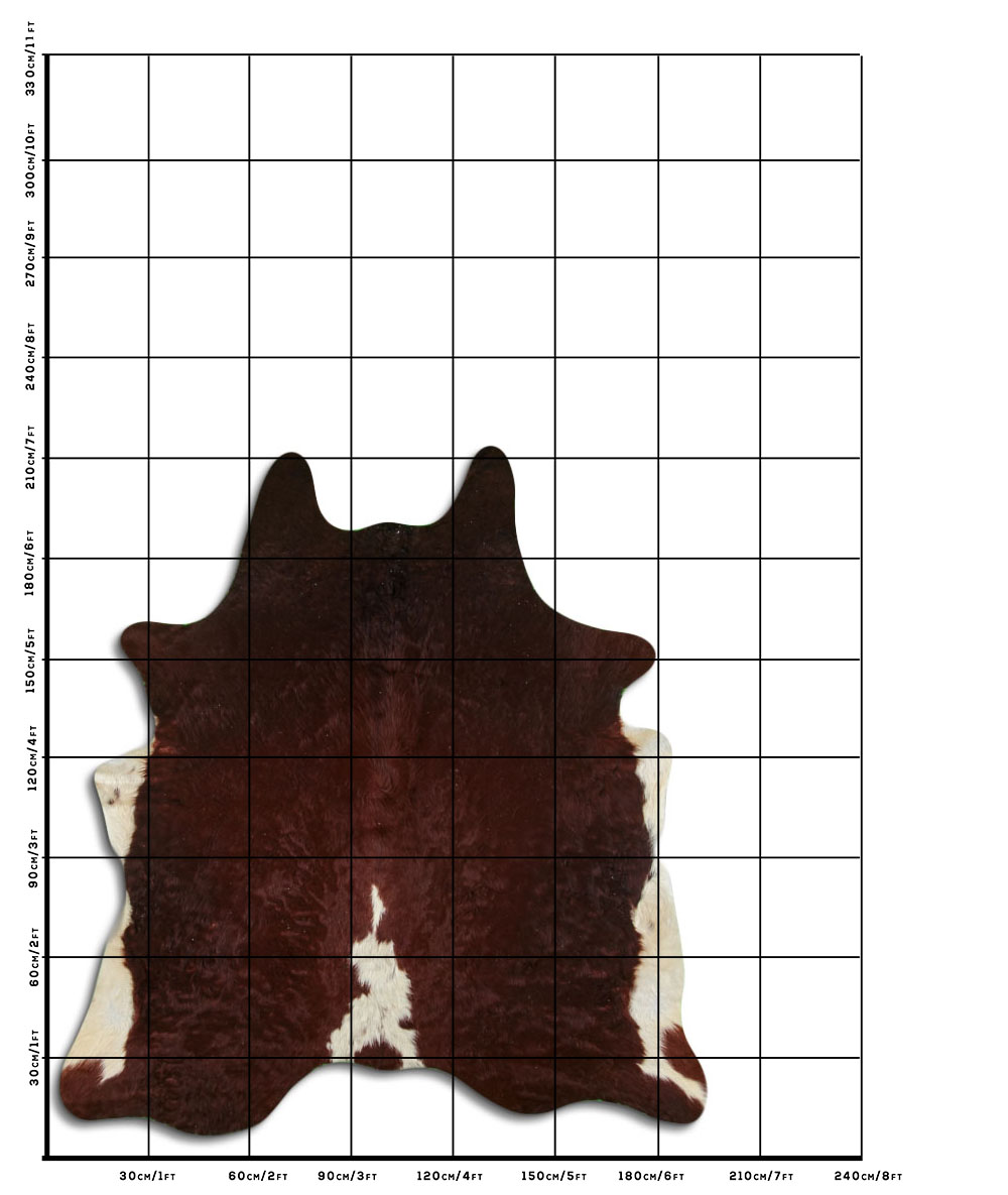 Marrom 2 - 3 M Classe A Marrom 2 - 3 M Classe A