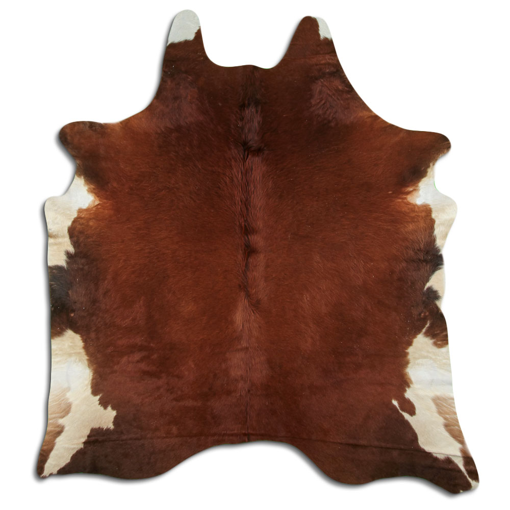 Marron 2 - 3 M Clase B