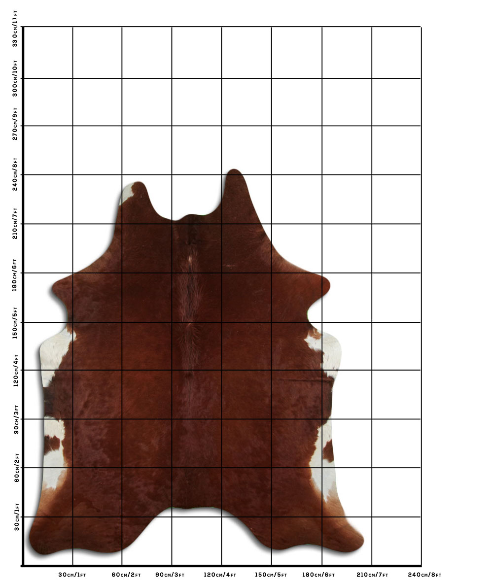 Marrom 3 - 4 M Classe A