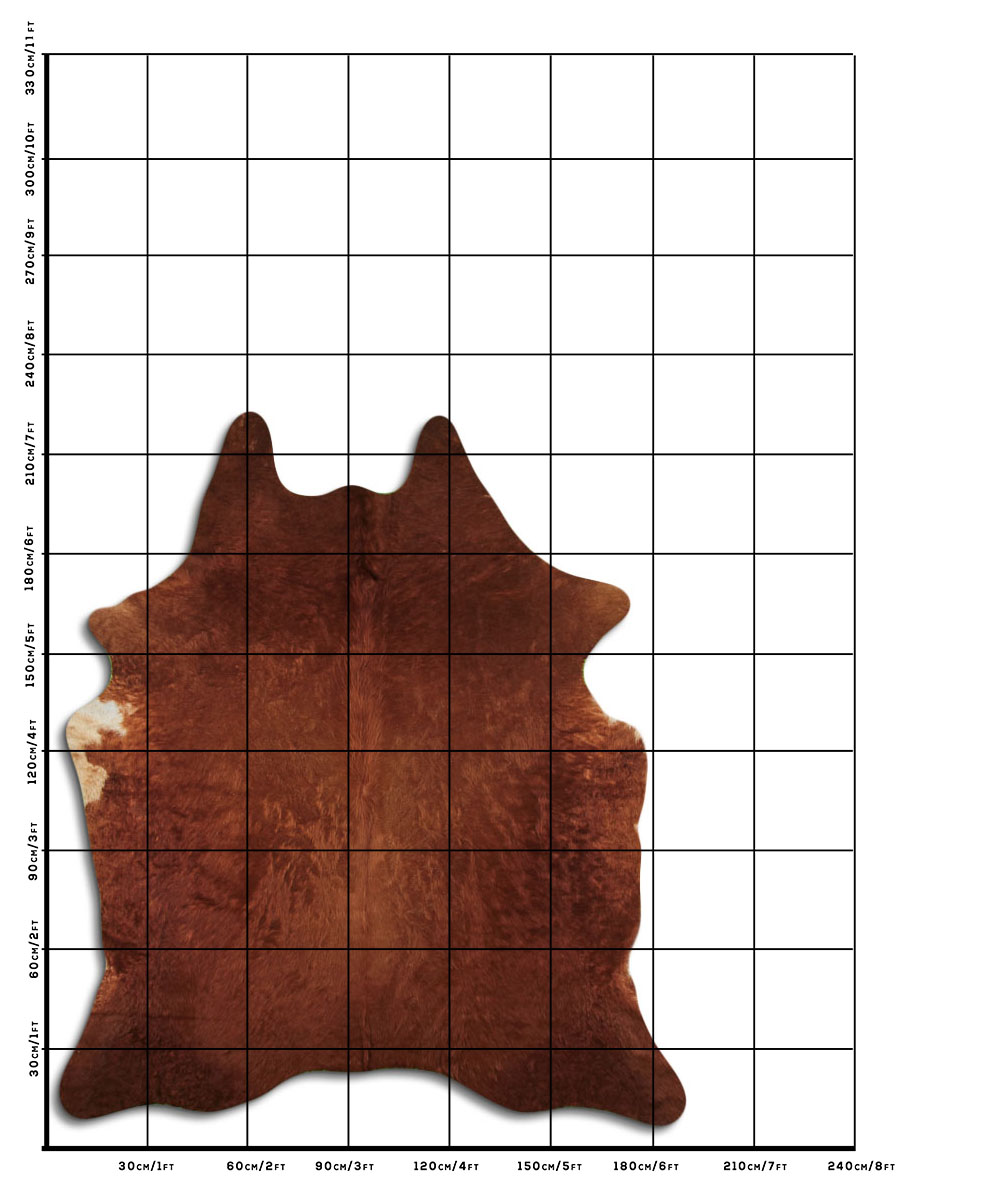 Marrom 3 - 4 M Classe A Marrom 3 - 4 M Classe A