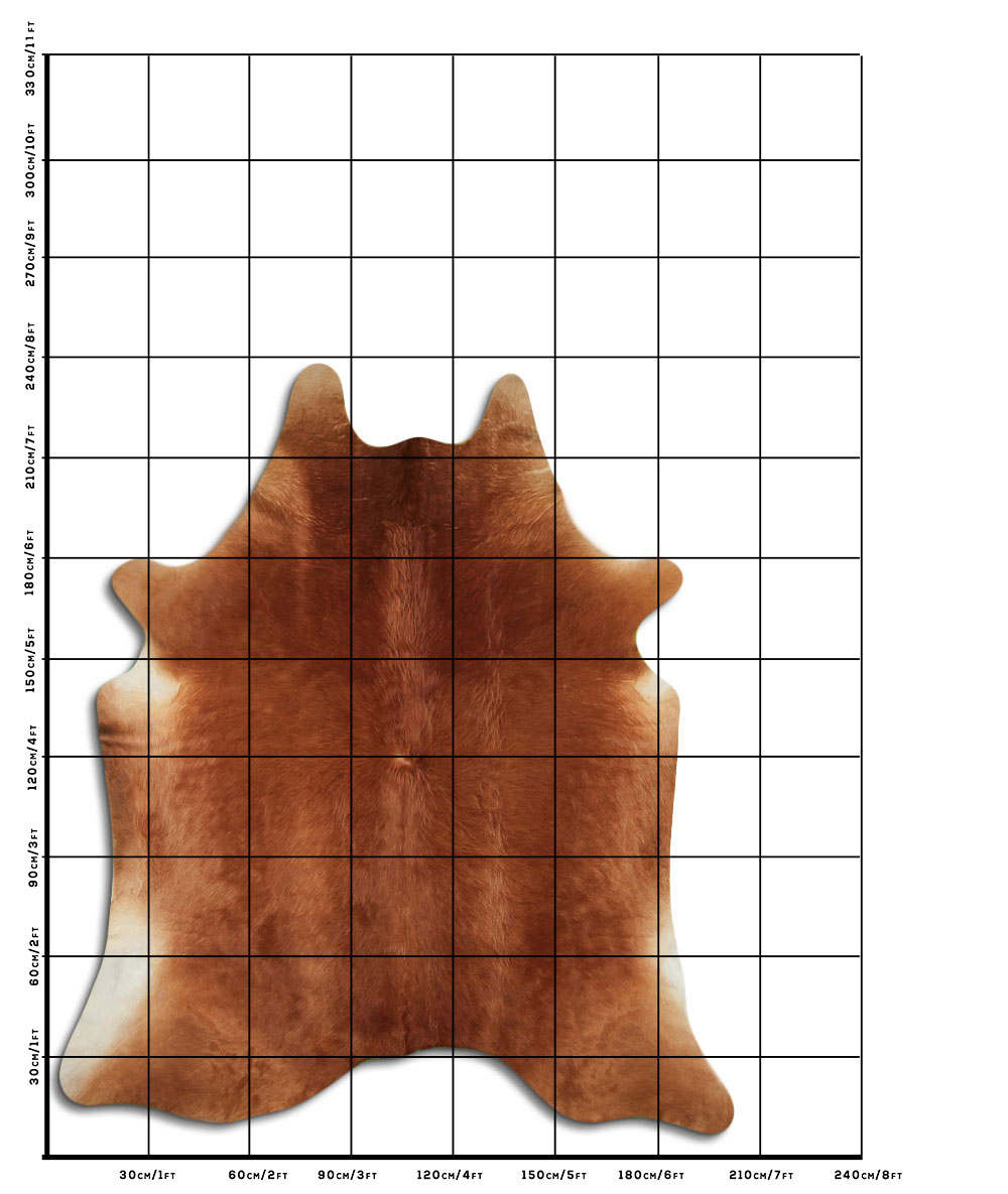 Marrom 3 - 4 M Classe A Marrom 3 - 4 M Classe A