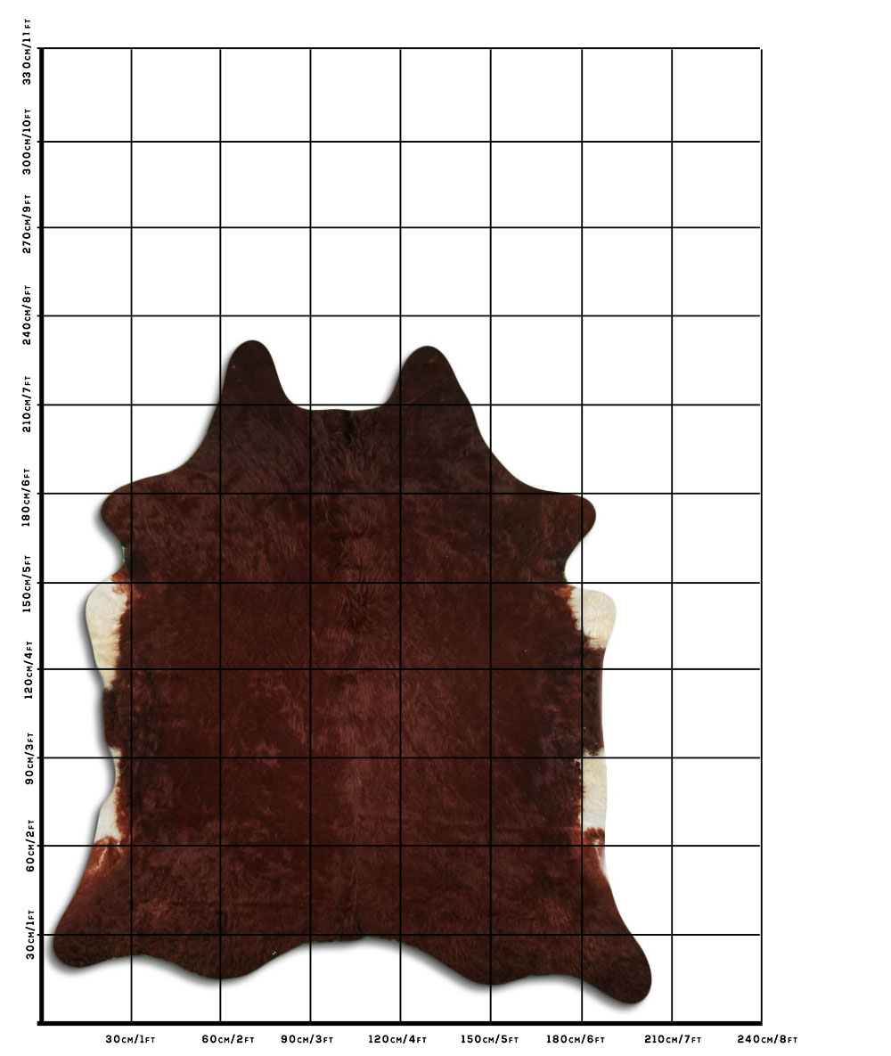 Marrom 3 - 4 M Classe A Marrom 3 - 4 M Classe A