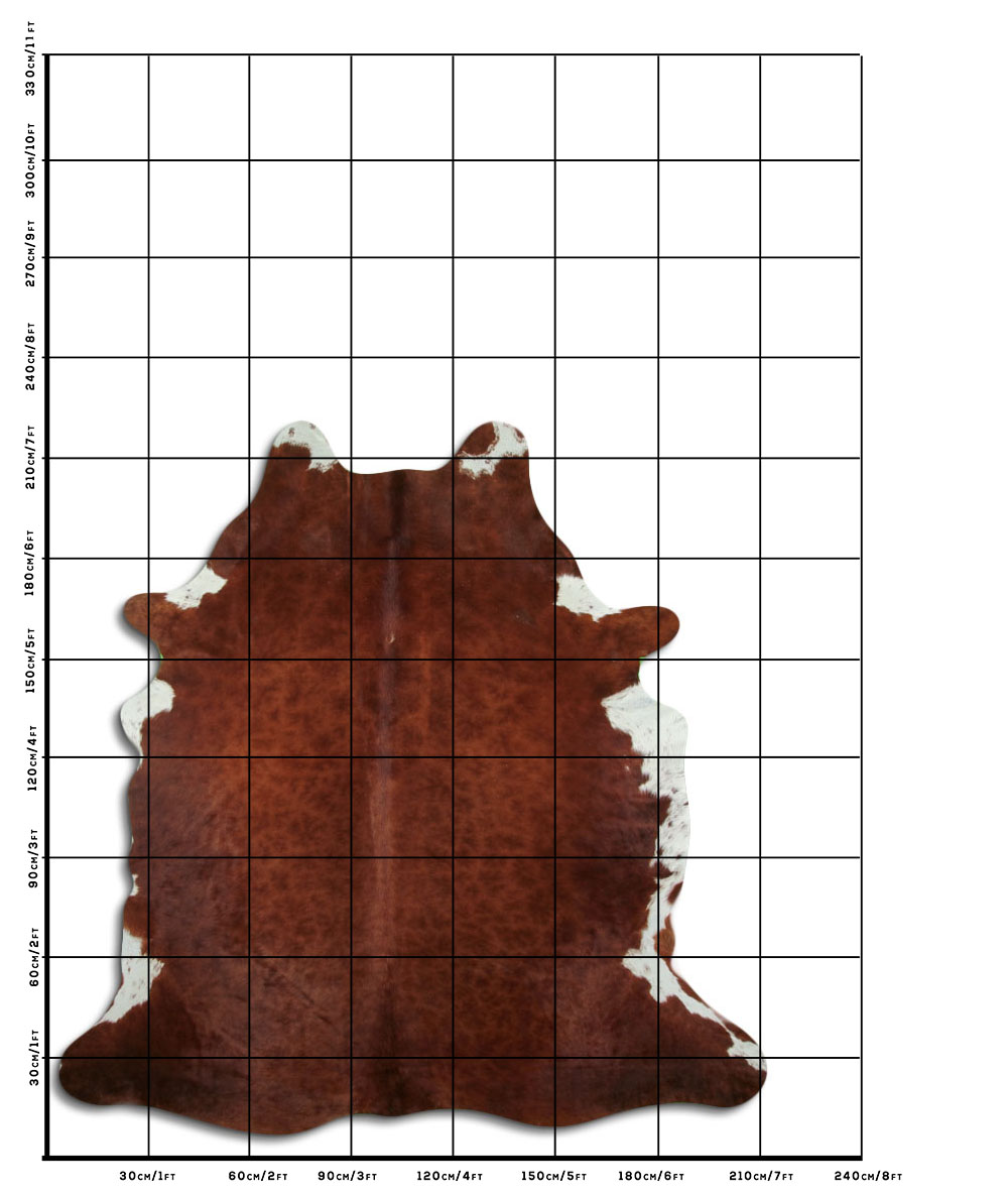 Marrom 3 - 4 M Classe A Marrom 3 - 4 M Classe A