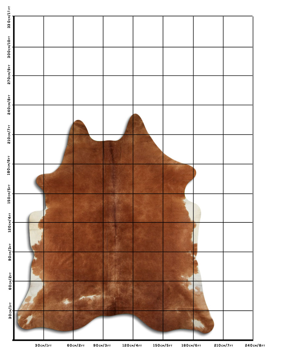 Marrom 3 - 4 M Classe B Marrom 3 - 4 M Classe B