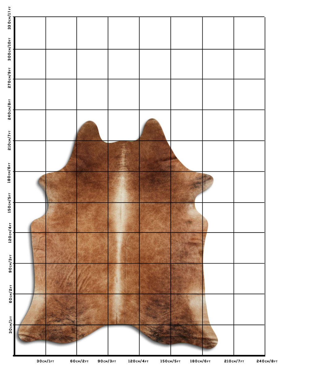 Marrom 3 - 4 M Classe B Marrom 3 - 4 M Classe B