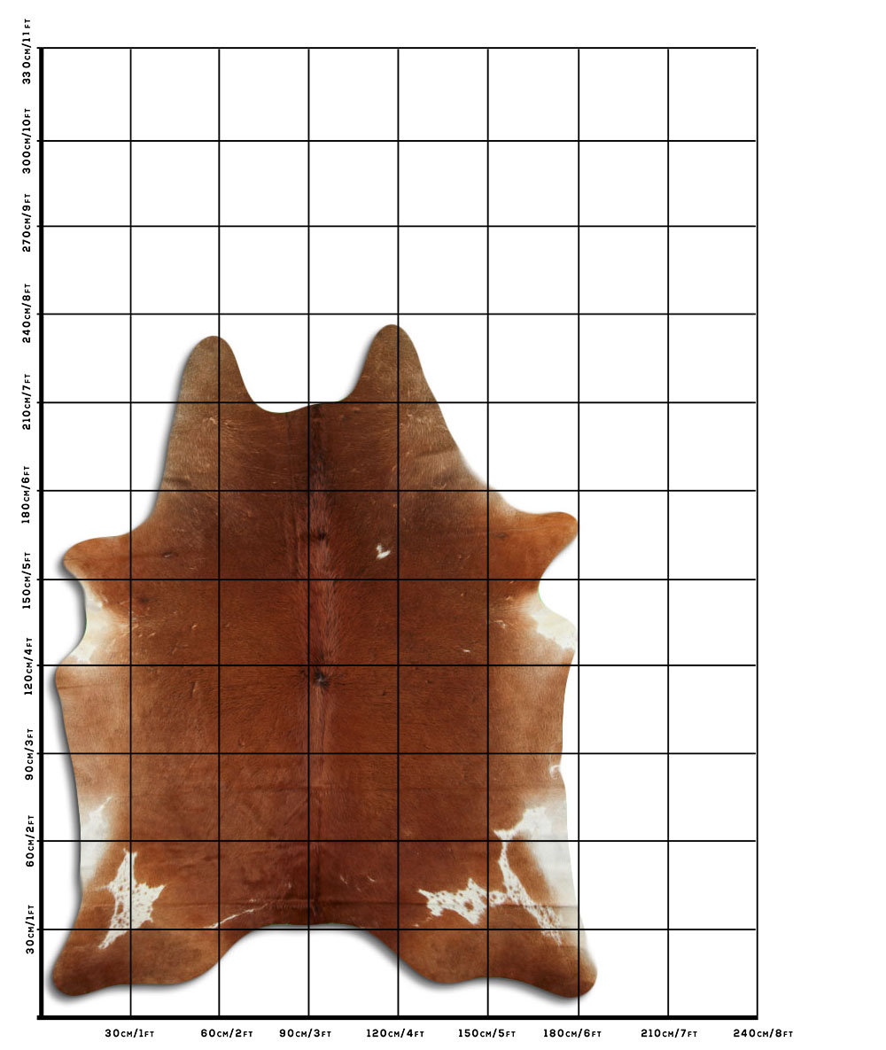 Marrom 3 - 4 M Classe B Marrom 3 - 4 M Classe B