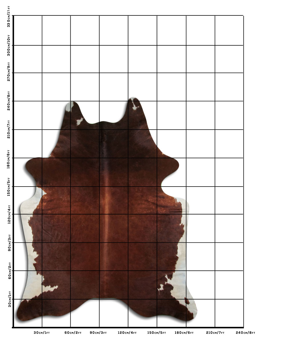 Marrom 3 - 4 M Classe B Marrom 3 - 4 M Classe B