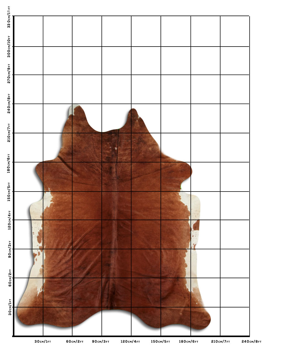 Marrom 3 - 4 M Classe B Marrom 3 - 4 M Classe B