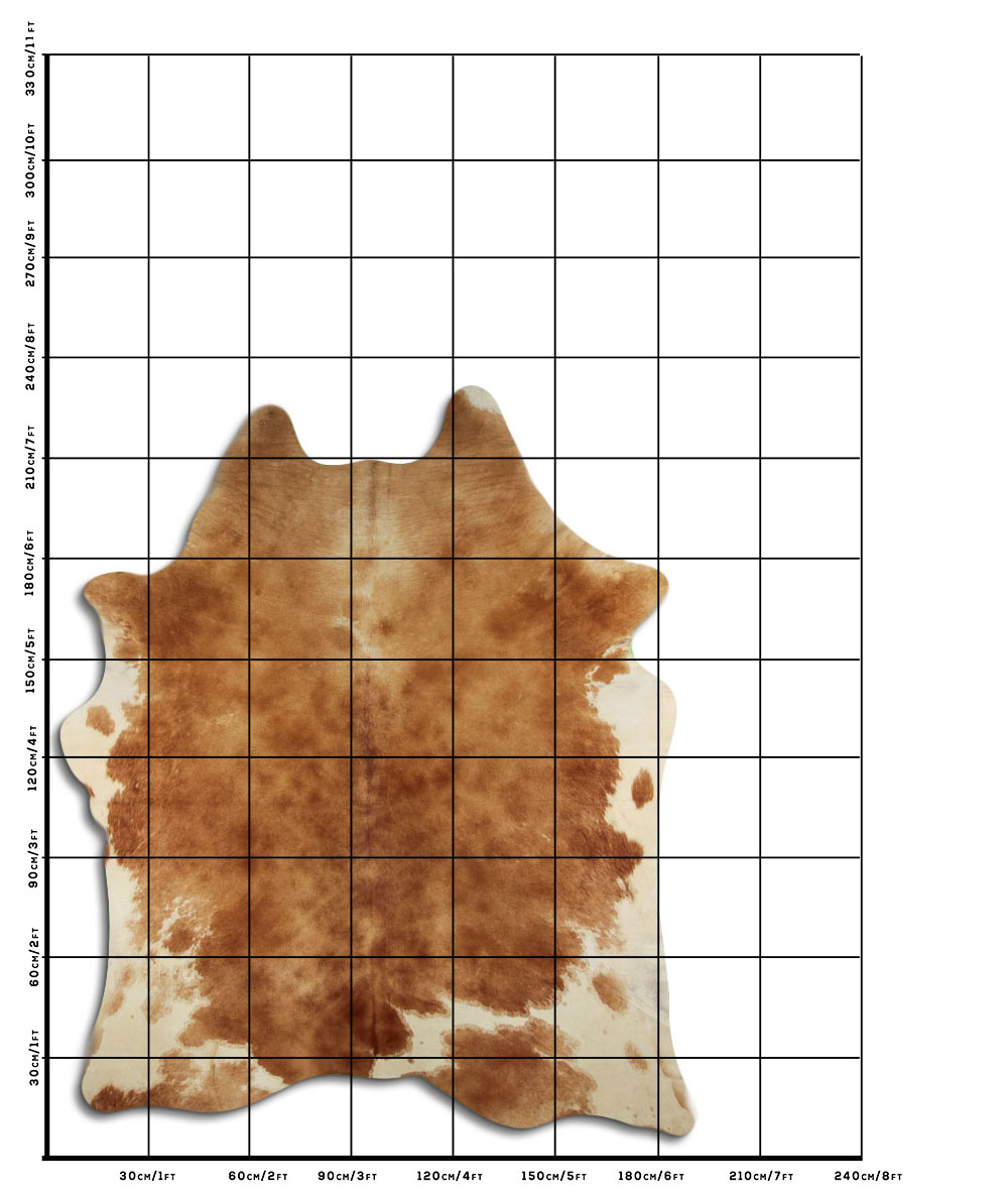 Marrom 3 - 4 M Classe B Marrom 3 - 4 M Classe B