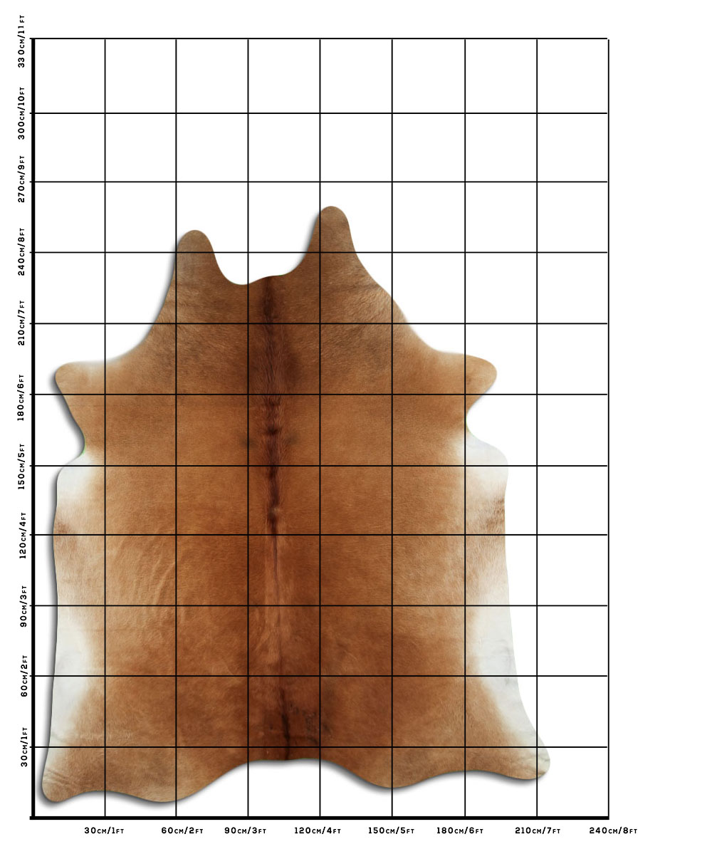 Marrom 3 - 4 M Classe B Marrom 3 - 4 M Classe B