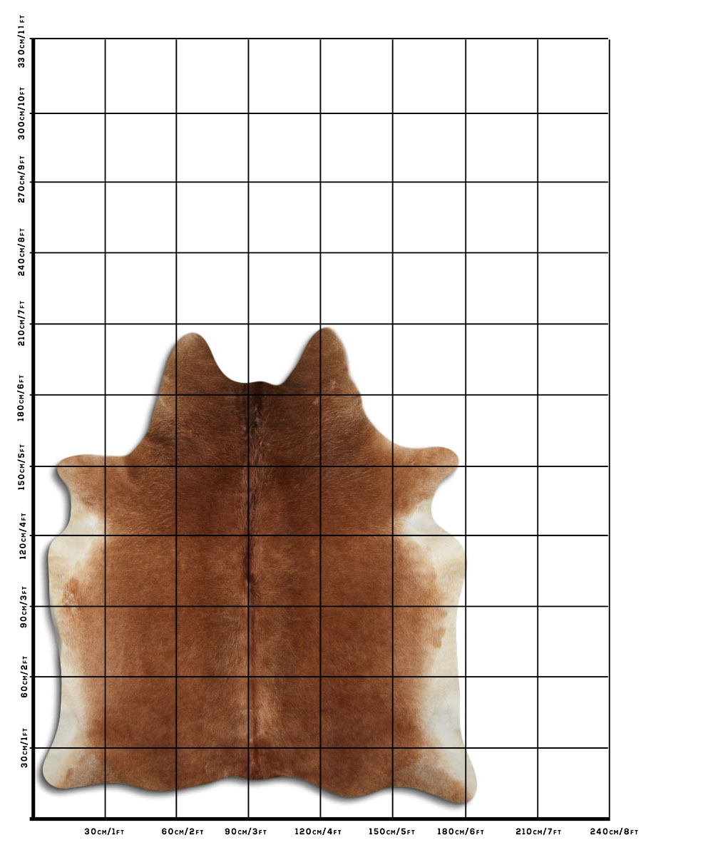 Marrom 3 - 4 M Classe B Marrom 3 - 4 M Classe B