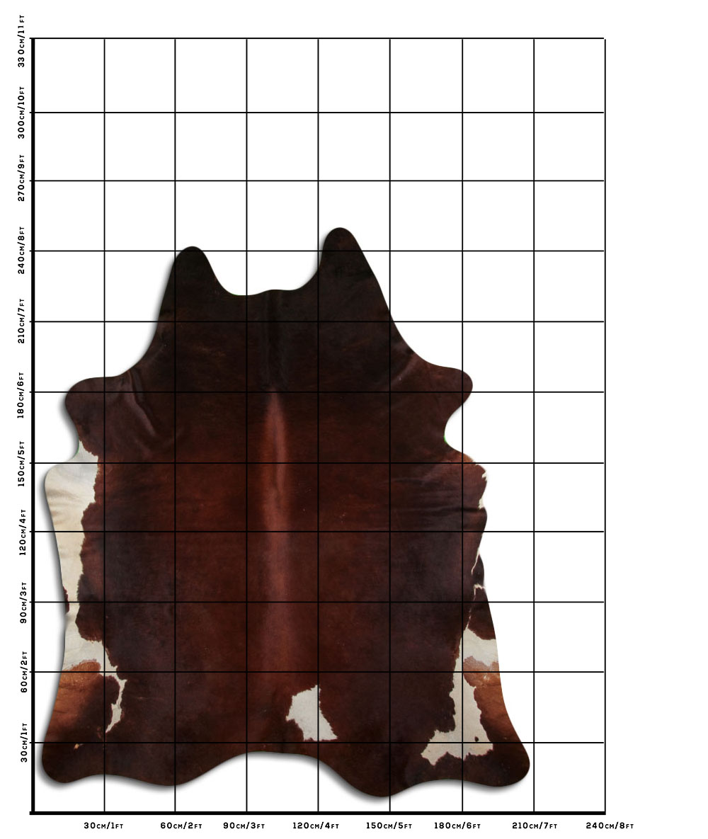 Marrom 3 - 4 M Classe B Marrom 3 - 4 M Classe B