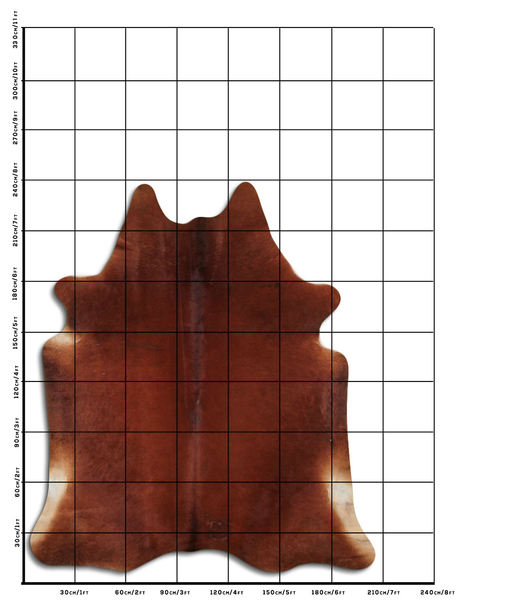 Marrom 3 - 4 M Classe B Marrom 3 - 4 M Classe B