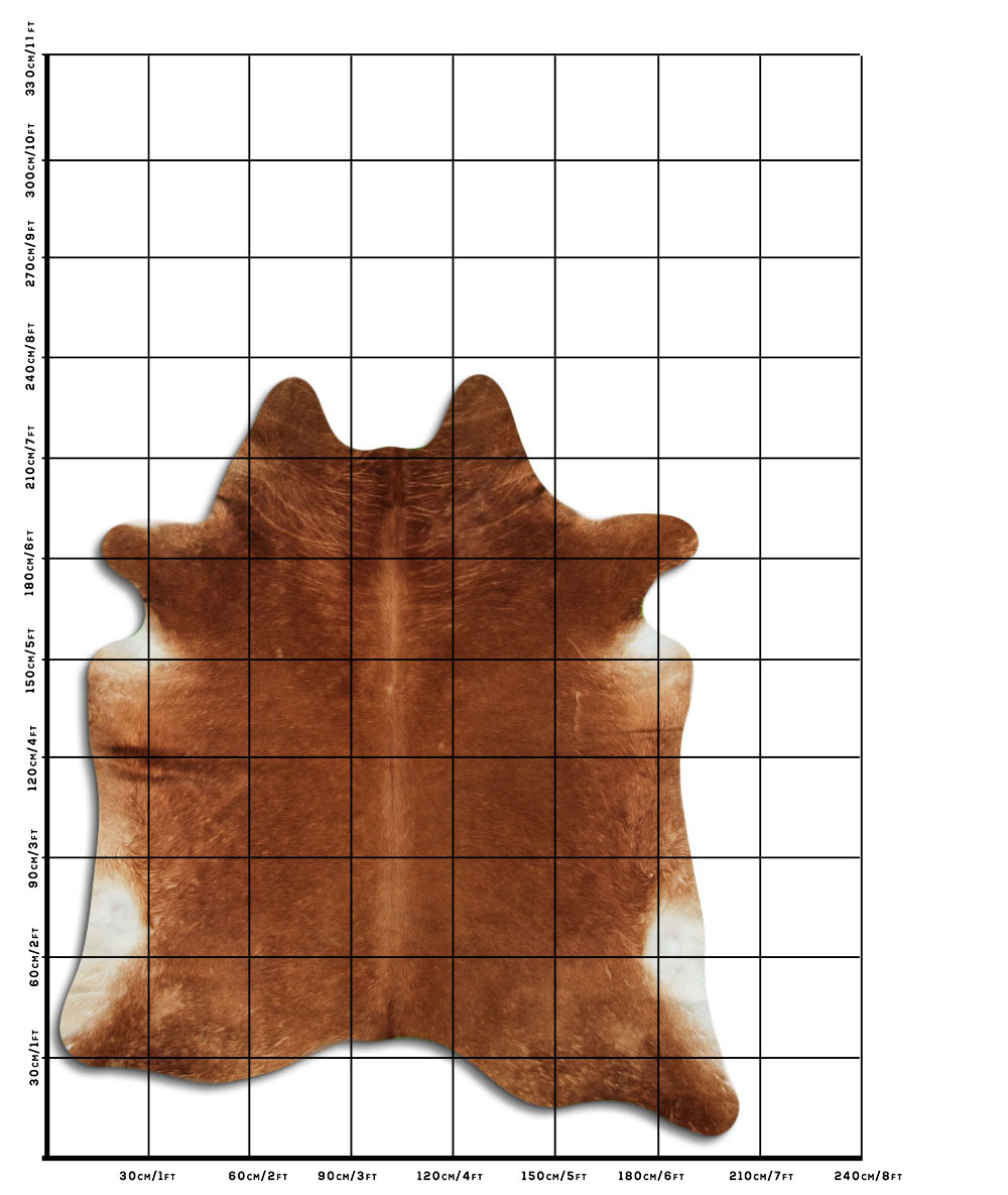 Marrom 3 - 4 M Classe B Marrom 3 - 4 M Classe B