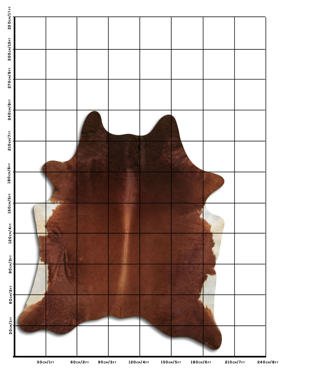 Marrom 3 - 4 M Classe B Marrom 3 - 4 M Classe B